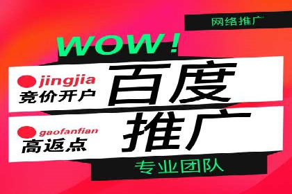 百度竞价代运营的成功案例：从零到一的突破